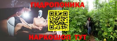 ешки Новокубанск