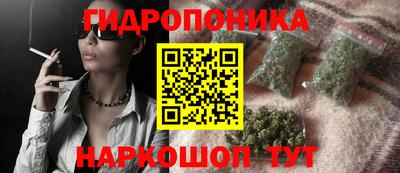 ешки Новокубанск