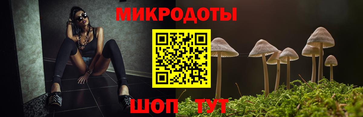 Псилоцибиновые грибы мицелий Усть-Илимск